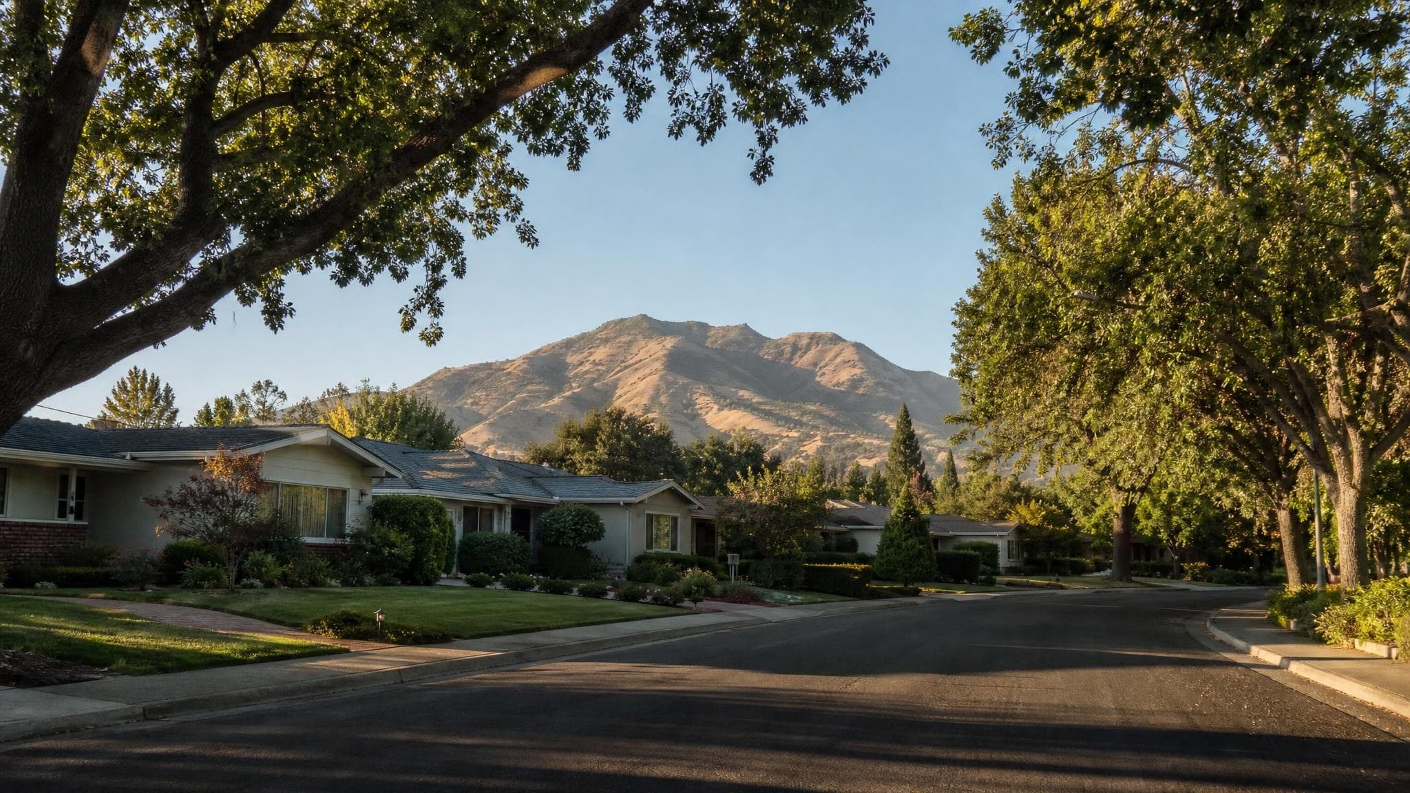 A tree-lined Walnut Creek residential street of ranch homes in late-afternoon light, with the ridgeline of Mount Diablo rising behind the rooftops.