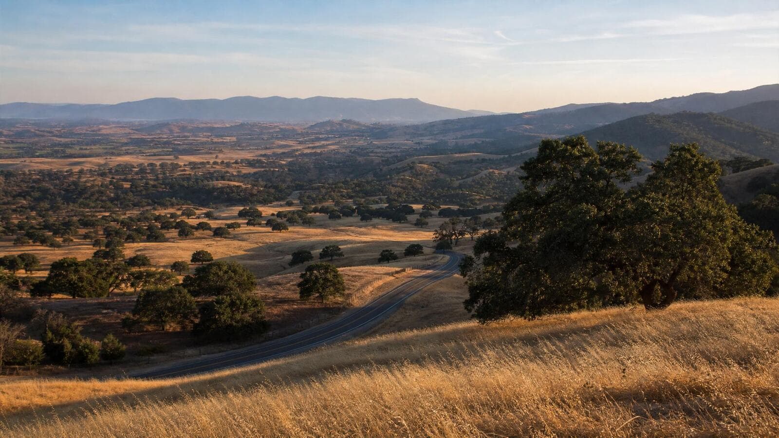 A wide golden California landscape of oak-dotted rolling hills and a country road at late afternoon.